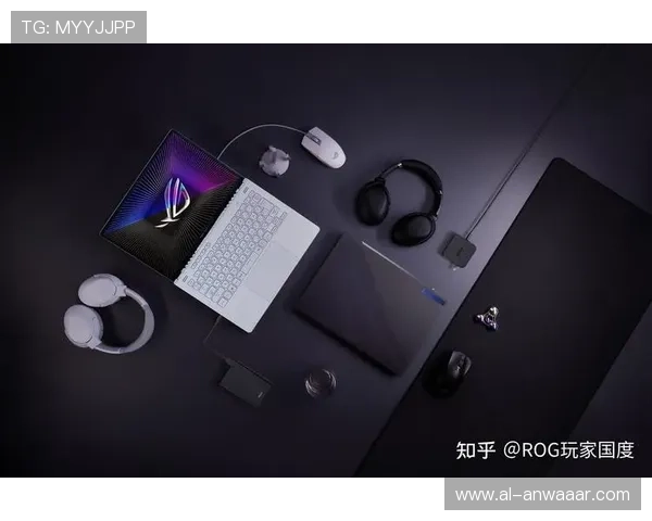 亚娱真人唯一官网：保障玩家权益的官方认证与安全措施介绍