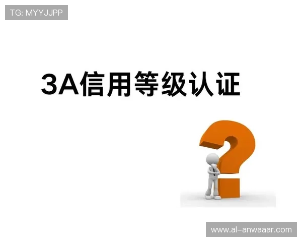 深入理解PA电子评级系统的工作原理及其对企业信用评估的重要作用 深入理解PA电子评级系统的工作原理及其对企业信用评估的重要作用